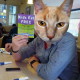 Illustration for article titled What If There Were Tons Of Cats Roaming E3 And No One Noticed?